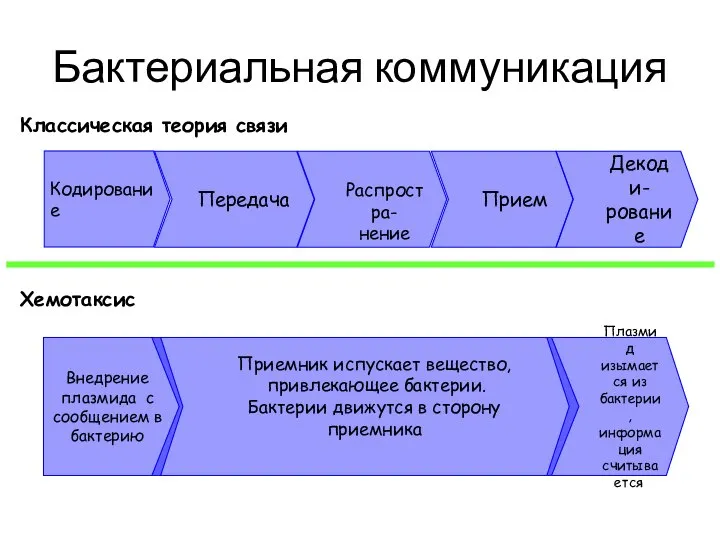 Бактериальная коммуникация Внедрение плазмида с сообщением в бактерию Приемник испускает вещество, привлекающее