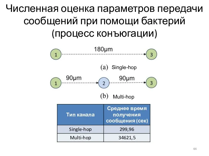 Численная оценка параметров передачи сообщений при помощи бактерий (процесс конъюгации) Multi-hop Single-hop