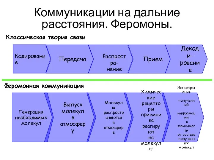 Феромонная коммуникация Генерация необходимых молекул Выпуск молекул в атмосферу Молекулы распространяются в