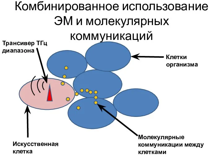 Комбинированное использование ЭМ и молекулярных коммуникаций Трансивер ТГц диапазона Искусственная клетка Клетки