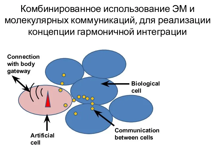 Комбинированное использование ЭМ и молекулярных коммуникаций, для реализации концепции гармоничной интеграции Artificial