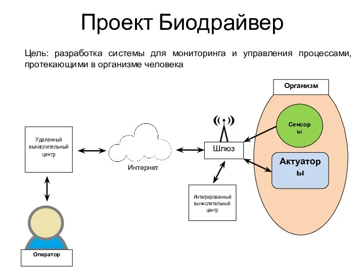 Проект Биодрайвер Цель: разработка системы для мониторинга и управления процессами, протекающими в организме человека