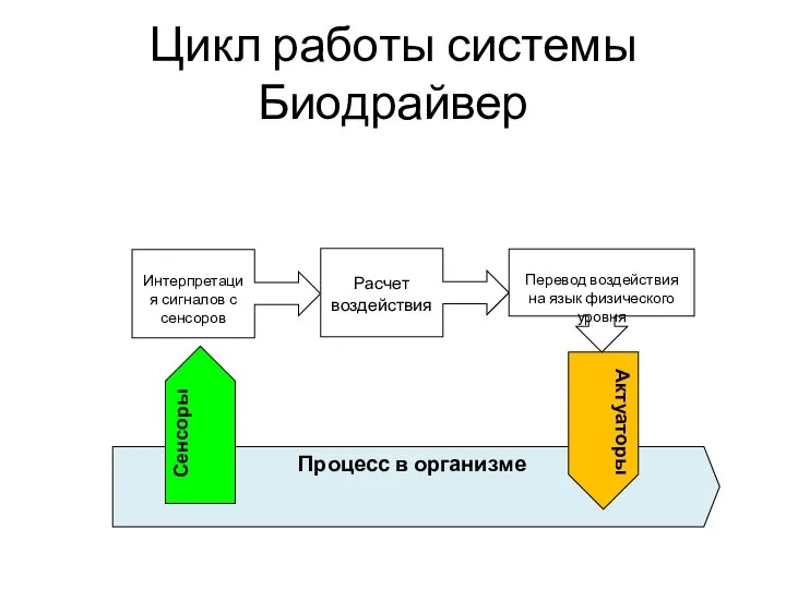 Цикл работы системы Биодрайвер