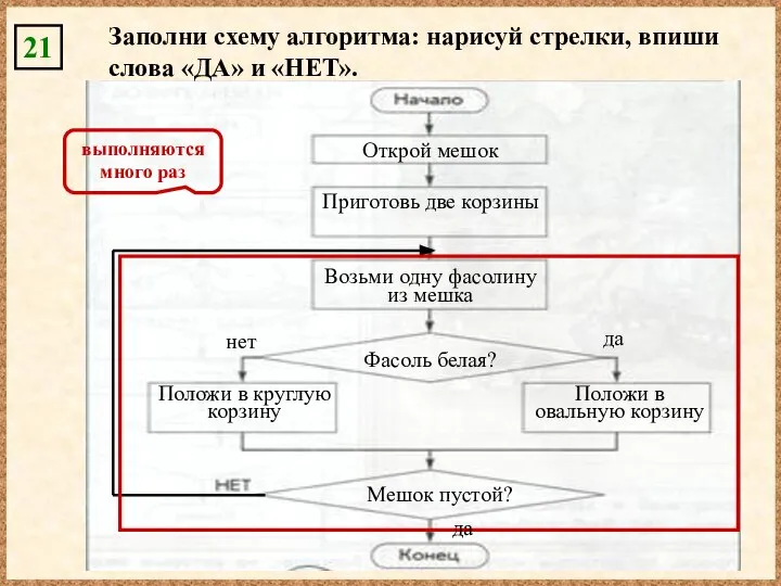 выполняются много раз 21 Заполни схему алгоритма: нарисуй стрелки, впиши слова «ДА»