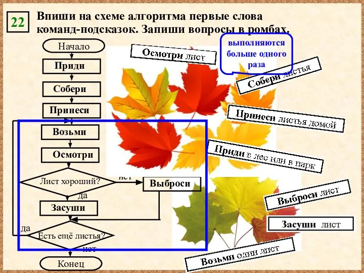 22 Впиши на схеме алгоритма первые слова команд-подсказок. Запиши вопросы в ромбах.