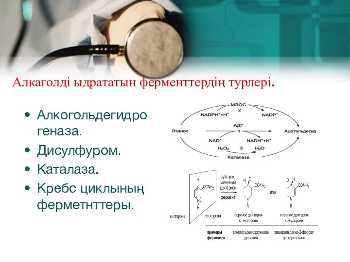 Алкаголді ыдрататын ферменттердің турлері. Алкогольдегидрогеназа. Дисулфуром. Каталаза. Кребс циклының ферметнттеры.