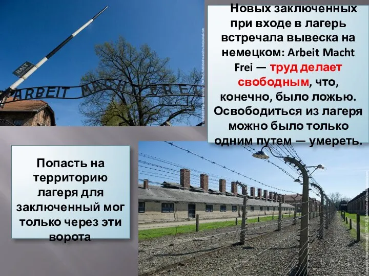 Новых заключенных при входе в лагерь встречала вывеска на немецком: Arbeit Macht