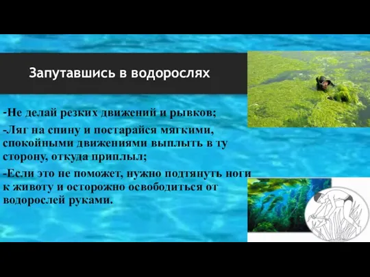 Запутавшись в водорослях -Не делай резких движений и рывков; -Ляг на спину