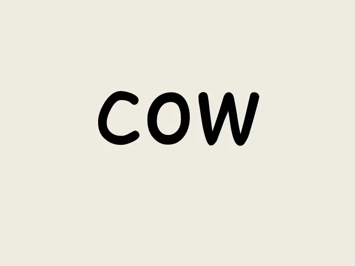 cow