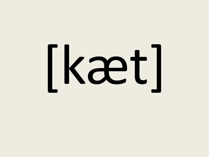 [kæt]