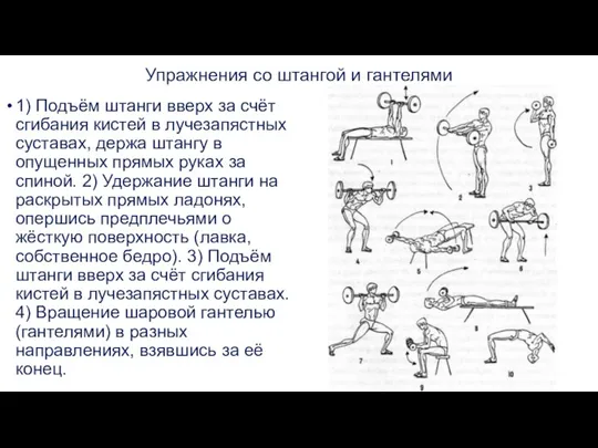 Упражнения со штангой и гантелями 1) Подъём штанги вверх за счёт сгибания