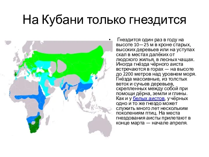 На Кубани только гнездится Гнездится один раз в году на высоте 10—25