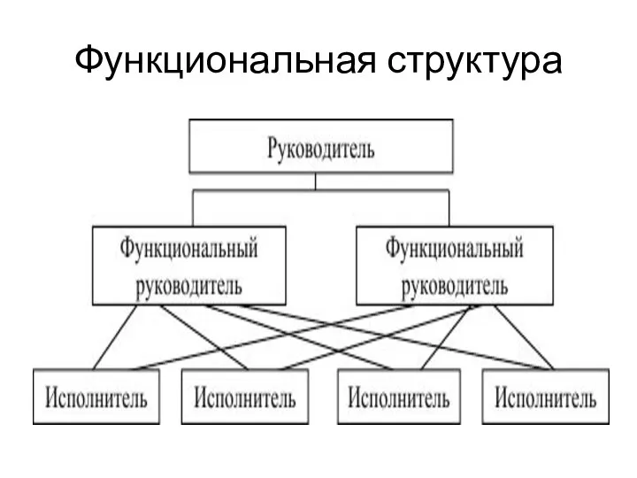 Функциональная структура