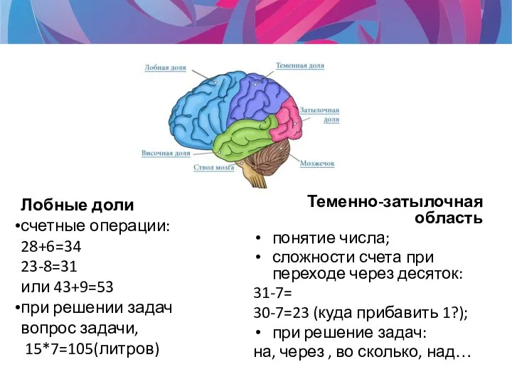 Теменно-затылочная область понятие числа; сложности счета при переходе через десяток: 31-7= 30-7=23