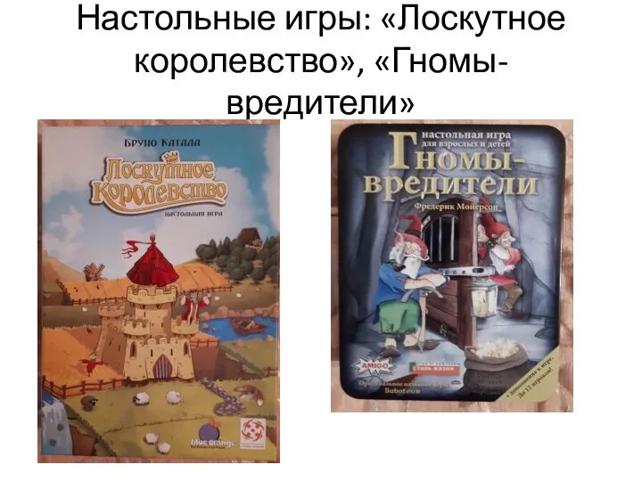 Настольные игры: «Лоскутное королевство», «Гномы-вредители»