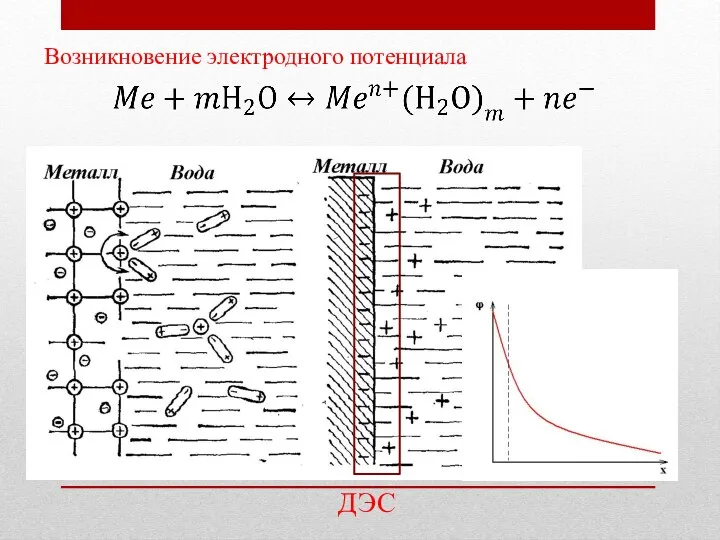 Возникновение электродного потенциала ДЭС