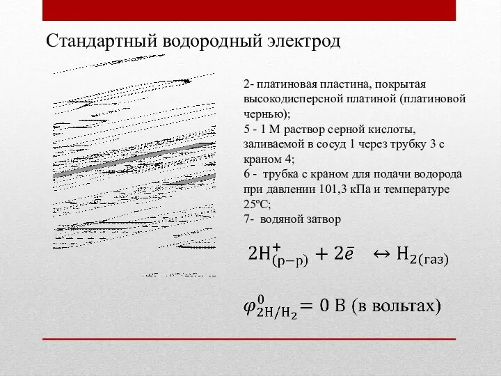 Стандартный водородный электрод 2- платиновая пластина, покрытая высокодисперсной платиной (платиновой чернью); 5