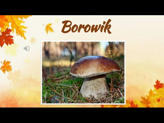 Borowik