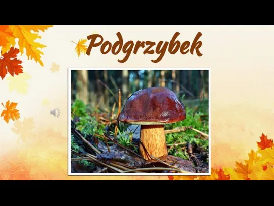 Podgrzybek