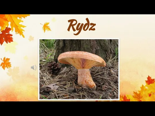 Rydz