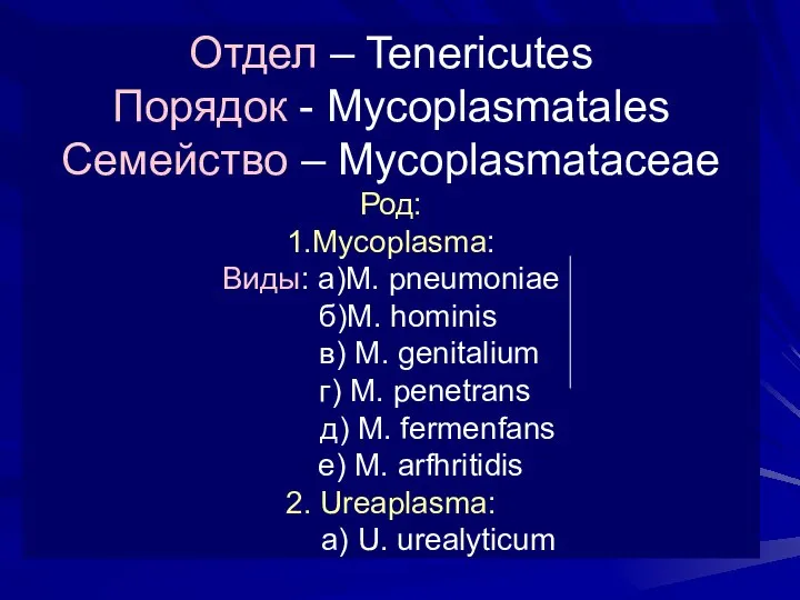 Отдел – Tenericutes Порядок - Mycoplasmatales Семейство – Mycoplasmataceae Род: 1.Mycoplasma: Виды: