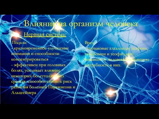 Влияние на организм человека Нервная система: -. Польза: - кратковременное улучшение внимания