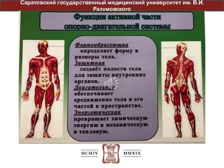 Саратовский государственный медицинский университет им. В.И. Разумовского