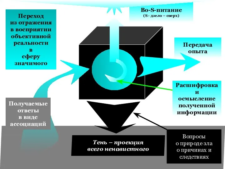 Во-S-питание (S - дзело – сверх) Передача опыта Тень – проекция всего