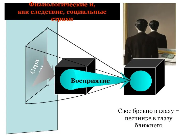 Свое бревно в глазу = песчинке в глазу ближнего Восприятие Страхи Физиологические