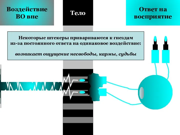 Воздействие ВО вне Ответ на восприятие Тело Некоторые штекеры привариваются к гнездам