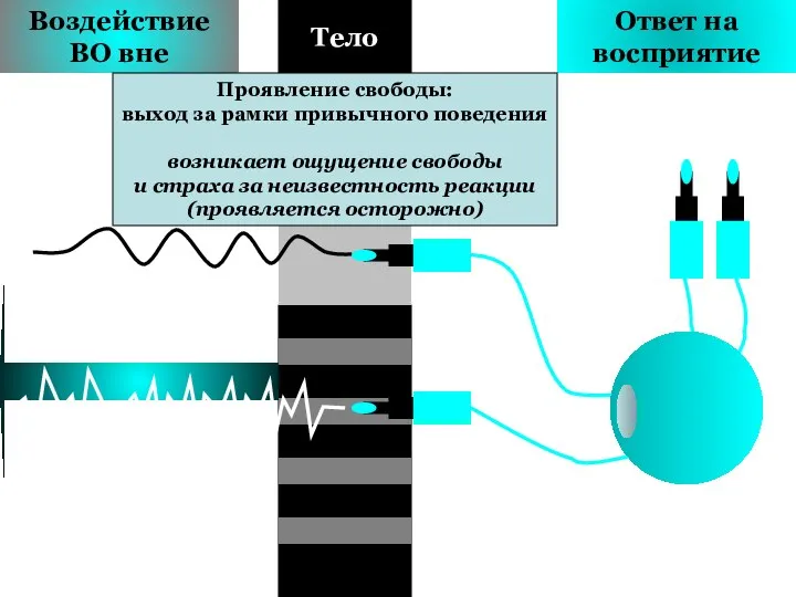 Воздействие ВО вне Ответ на восприятие Тело Проявление свободы: выход за рамки