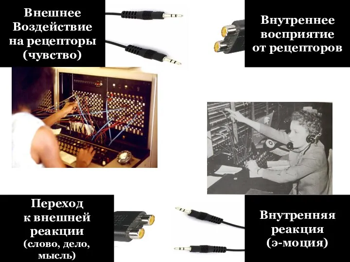 Внешнее Воздействие на рецепторы (чувство) Внутреннее восприятие от рецепторов Внутренняя реакция (э-моция)