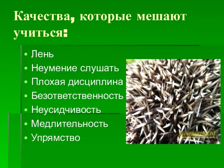 Качества, которые мешают учиться: Лень Неумение слушать Плохая дисциплина Безответственность Неусидчивость Медлительность Упрямство