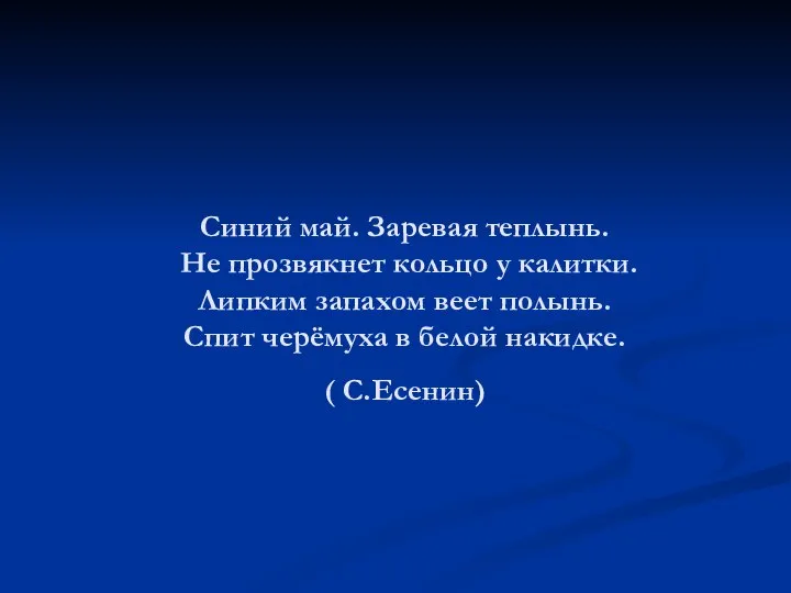 Синий май. Заревая теплынь. Не прозвякнет кольцо у калитки. Липким запахом веет