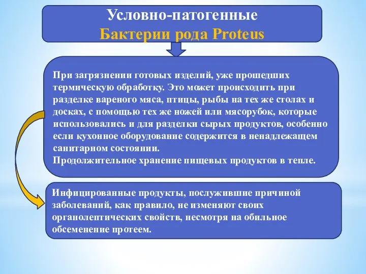 Условно-патогенные Бактерии рода Proteus При загрязнении готовых изделий, уже прошедших термическую обработку.