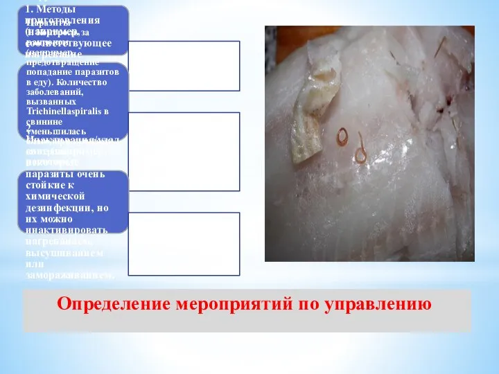 Определение мероприятий по управлению . Вирусы 1. Методы приготовления (например, соответствующее нагревание