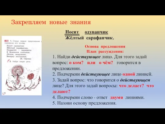 Носит одуванчик Жёлтый сарафанчик. Закрепляем новые знания Основа предложения План рассуждения: 1.