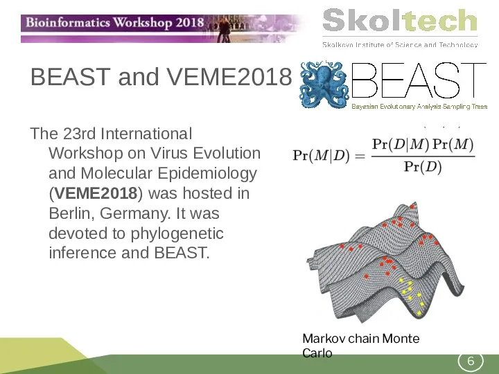 BEAST and VEME2018 The 23rd International Workshop on Virus Evolution and Molecular