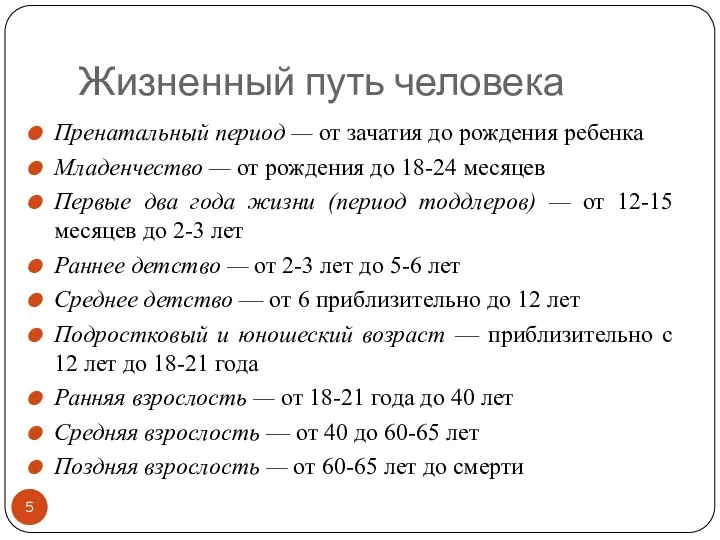 Жизненный путь человека Пренатальный период — от зачатия до рождения ребенка Младенчество