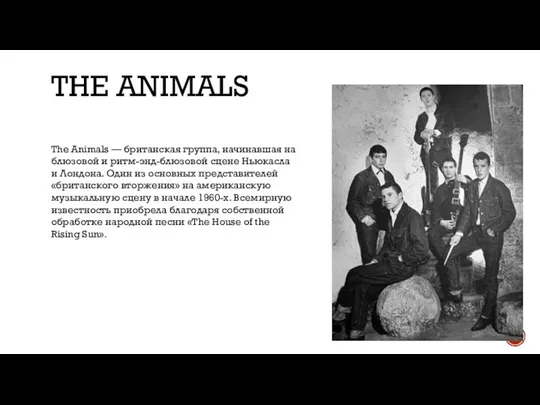 THE ANIMALS The Animals — британская группа, начинавшая на блюзовой и ритм-энд-блюзовой