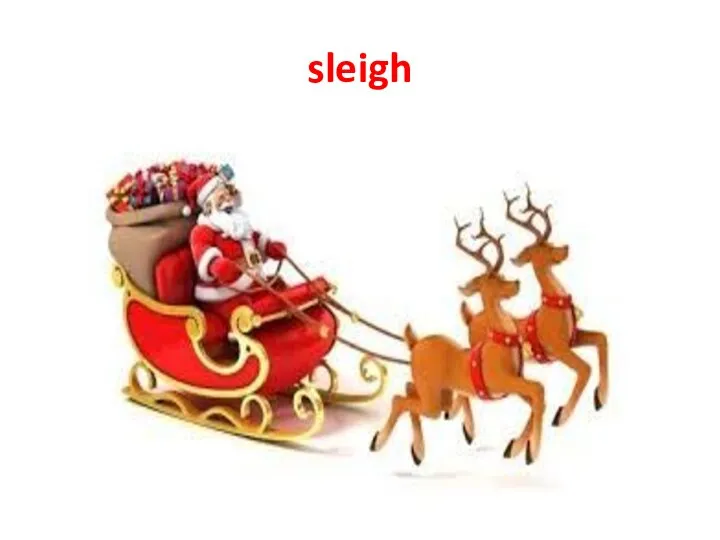 sleigh