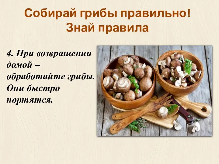 4. При возвращении домой – обработайте грибы. Они быстро портятся. Собирай грибы правильно! Знай правила