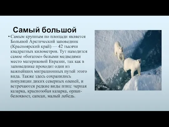 Самый большой Самым крупным по площади является Большой Арктический заповедник (Красноярский край)