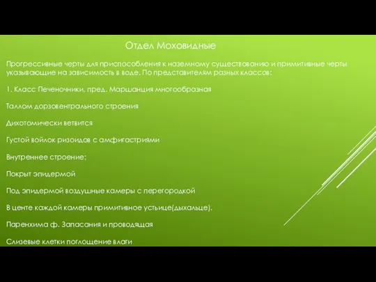 Отдел Моховидные Прогрессивные черты для приспособления к наземному существованию и примитивные черты