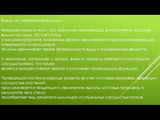 Вывод по папоротниковидным Макрофильность вай – это огромный ароморфоз для растений, которые