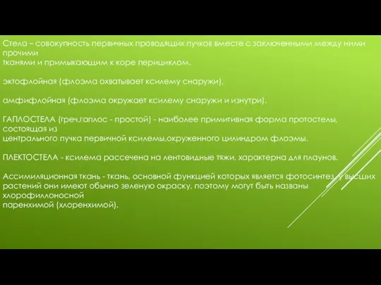 Стела – совокупность первичных проводящих пучков вместе с заключенными между ними прочими