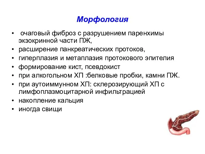 Морфология очаговый фиброз с разрушением паренхимы экзокринной части ПЖ, расширение панкреатических протоков,