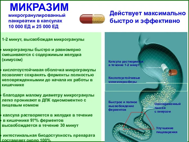 МИКРАЗИМ микрогранулированный панкреатин в капсулах 10 000 ЕД и 25 000 ЕД