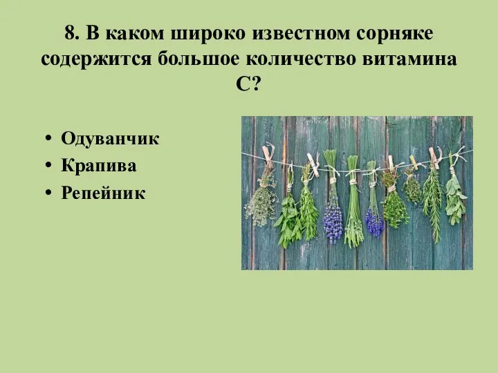 8. В каком широко известном сорняке содержится большое количество витамина С? Одуванчик Крапива Репейник