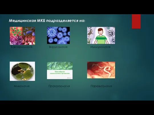 Медицинская МКБ подразделяется на: Бактериология Вирусология Иммунология Микология Протозоология Паразитология